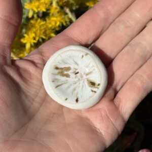 Worry stone en porcelaine