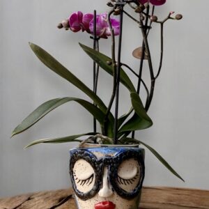 Cache-pot Mademoiselle Indigo